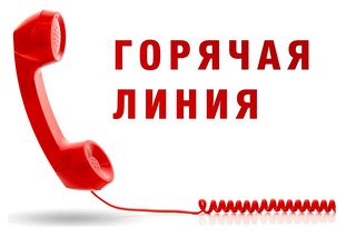 Горячая линия по вопросам профилактики клещевого энцефалита.